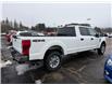 2021 Ford F-250 XLT (Stk: 24766) in Pembroke - Image 3 of 4