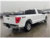 2021 Ford F-150 XLT (Stk: 14825) in Sudbury - Image 2 of 8