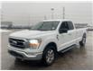 2021 Ford F-150 XLT (Stk: 14825) in Sudbury - Image 1 of 8
