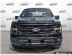 2024 Ford F-150 XLT (Stk: 00H2764) in Hamilton - Image 2 of 19