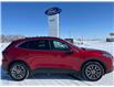 2024 Ford Escape PHEV (Stk: A21089) in Hague - Image 1 of 14