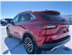 2024 Ford Escape PHEV (Stk: A21089) in Hague - Image 6 of 14