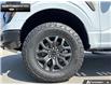 2026 Ford F-150 Tremor (Stk: 6F159177) in Brantford - Image 6 of 25