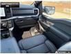 2026 Ford F-150 Tremor (Stk: 6F159177) in Brantford - Image 25 of 25