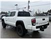 2023 Toyota Tacoma Base (Stk: W9433) in Uxbridge - Image 3 of 9