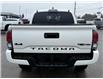 2023 Toyota Tacoma Base (Stk: W9433) in Uxbridge - Image 6 of 9