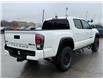 2023 Toyota Tacoma Base (Stk: W9433) in Uxbridge - Image 7 of 9