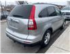 2010 Honda CR-V EX (Stk: H801517) in Scarborough - Image 5 of 16
