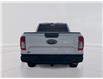 2025 Ford Ranger XL (Stk: 5T150) in Williams Lake - Image 6 of 13