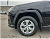 2025 Toyota RAV4 LE (Stk: 10U6499) in Markham - Image 10 of 29