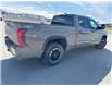 2026 Toyota Tundra SR5 (Stk: X055124) in Cranbrook - Image 4 of 16