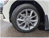 2022 Honda Civic EX (Stk: 260116) in Ottawa - Image 25 of 28
