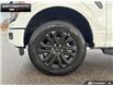 2026 Ford F-150 XLT (Stk: 6F174077) in Brantford - Image 6 of 23