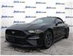 2023 Ford Mustang EcoBoost Premium (Stk: 984) in Kitchener - Image 1 of 24