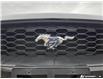2023 Ford Mustang EcoBoost Premium (Stk: 984) in Kitchener - Image 8 of 24