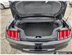 2023 Ford Mustang EcoBoost Premium (Stk: 984) in Kitchener - Image 10 of 24
