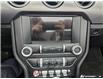 2023 Ford Mustang EcoBoost Premium (Stk: 984) in Kitchener - Image 17 of 24