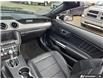 2023 Ford Mustang EcoBoost Premium (Stk: 984) in Kitchener - Image 24 of 24