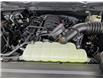 2026 Ford F-150 XLT (Stk: F1443) in Miramichi - Image 13 of 13