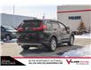2019 Honda CR-V EX-L (Stk: B9078) in Calgary - Image 11 of 31