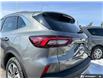 2025 Ford Escape Platinum (Stk: B89159) in Okotoks - Image 10 of 25