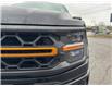 2026 Ford F-150 Tremor (Stk: 0T6249) in Kamloops - Image 8 of 25
