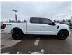 2023 Ford F-150 Lariat (Stk: TA-675A) in Calgary - Image 3 of 10