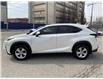 2021 Lexus NX 300 Base (Stk: 4868) in KITCHENER - Image 5 of 30