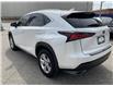 2021 Lexus NX 300 Base (Stk: 4868) in KITCHENER - Image 6 of 30