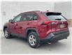 2023 Toyota RAV4 XLE (Stk: 12108286A) in Concord - Image 12 of 18
