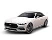2026 Ford Mustang EcoBoost Premium (Stk: 260296) in Hamilton - Image 1 of 7