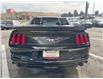2018 Ford Mustang EcoBoost (Stk: 2508439) in Waterloo - Image 4 of 19