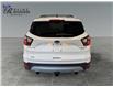 2017 Ford Escape Titanium (Stk: T9943A) in ROSETOWN - Image 4 of 17