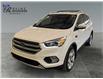 2017 Ford Escape Titanium (Stk: T9943A) in ROSETOWN - Image 7 of 17