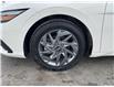 2024 Hyundai Elantra  (Stk: 260299) in Ottawa - Image 21 of 21