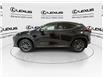 2023 Lexus NX 350h  (Stk: 14U7424) in Markham - Image 6 of 28