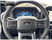 2026 Ford F-150 XLT (Stk: 6F129907) in Brantford - Image 11 of 22