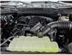 2026 Ford F-150 XLT (Stk: F1433) in Miramichi - Image 13 of 13