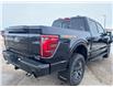 2026 Ford F-150 Tremor (Stk: T47772) in Hague - Image 9 of 14