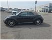 2018 Volkswagen Beetle 2.0 TSI Coast (Stk: 2026208A) in ARNPRIOR - Image 8 of 18