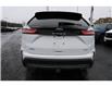 2024 Ford Edge  (Stk: TL59405) in Windsor - Image 5 of 29