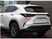 2023 Lexus NX 250 Base (Stk: PL3923) in Windsor - Image 5 of 25