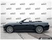 2026 Ford Mustang EcoBoost Premium (Stk: 260231) in Hamilton - Image 3 of 20