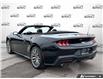 2026 Ford Mustang EcoBoost Premium (Stk: 260231) in Hamilton - Image 4 of 20