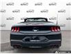 2026 Ford Mustang EcoBoost Premium (Stk: 260231) in Hamilton - Image 5 of 20