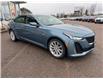 2024 Cadillac CT5 Luxury (Stk: 25-261-2) in Pembroke - Image 7 of 20