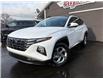 2023 Hyundai Tucson Preferred (Stk: -) in Sussex - Image 1 of 15