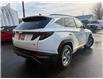 2023 Hyundai Tucson Preferred (Stk: -) in Sussex - Image 3 of 15