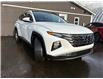 2023 Hyundai Tucson Preferred (Stk: -) in Sussex - Image 5 of 15