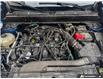2023 Ford Maverick Lariat (Stk: TT7387) in Sarnia - Image 10 of 25